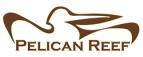 pelican.jpg